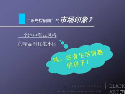 城市綠洲——xx棕櫚園 重新定義理想居所，銷售與推廣策略升級(jí)